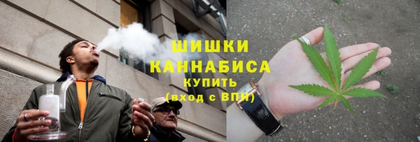 СК Дмитровск