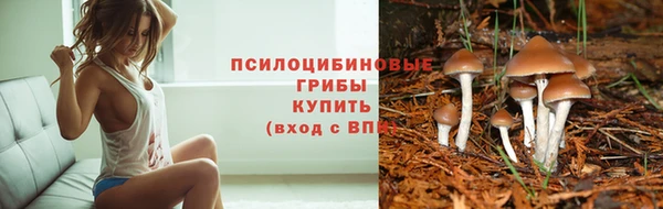 стафф Гусиноозёрск
