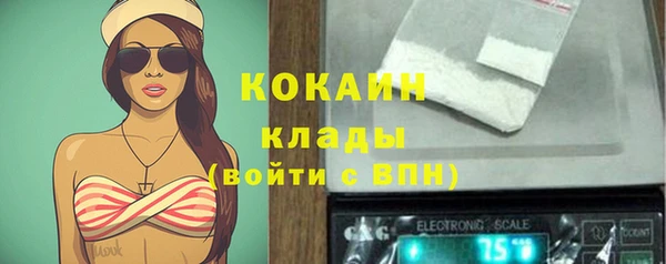 стафф Дмитров
