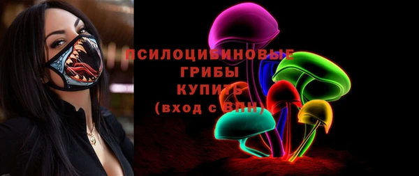стафф Дмитров