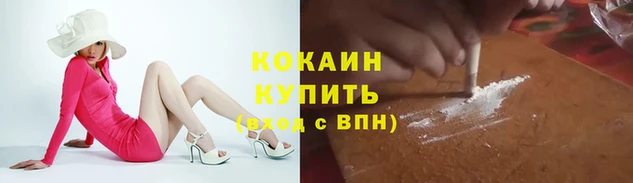 прущие крисы Гусев