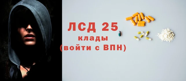 стафф Дмитров