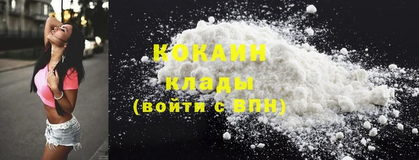 стафф Дмитров