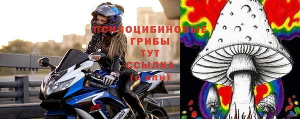 COCAINE Дмитриев