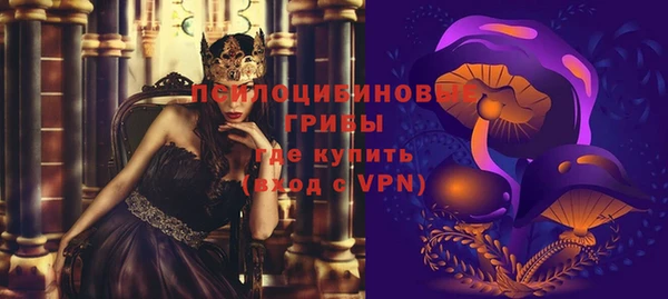 СК Дмитровск