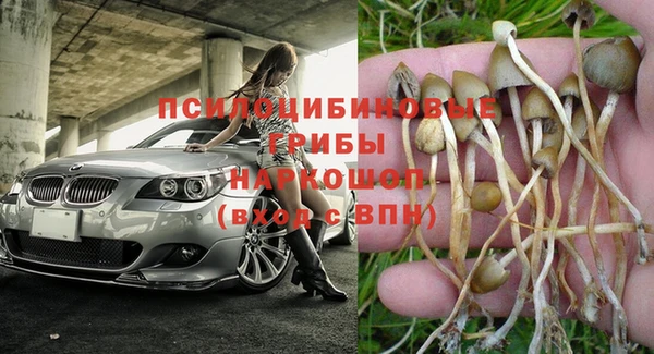 COCAINE Дмитриев