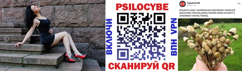 Псилоцибиновые грибы Magic Shrooms  ссылка на мегу ссылка  Гороховец 